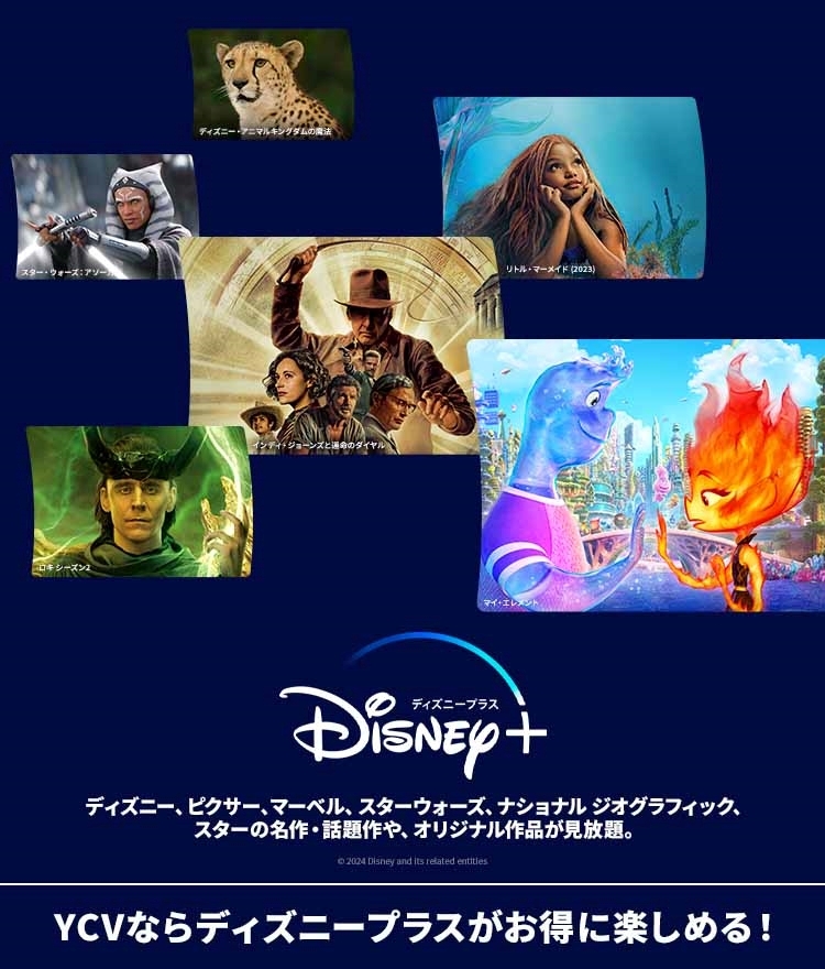J:COMまとめ請求 for Disney＋