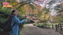 かながわ らく楽ウォーキング