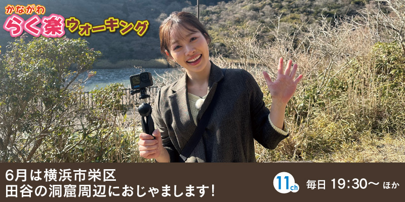 かながわ らく楽ウォーキング