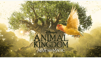 体感！ディズニー・アニマルキングダム