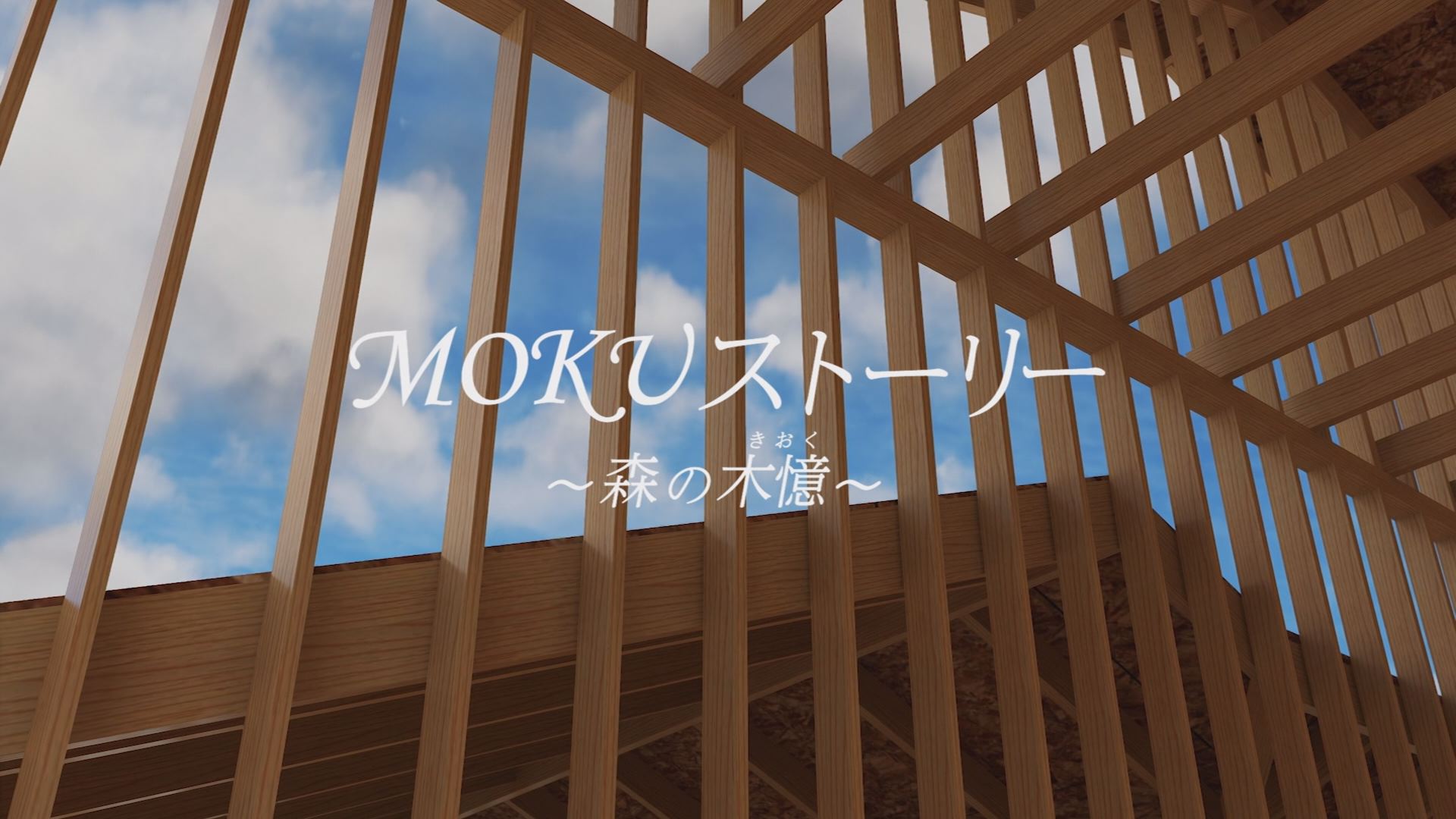 MOKUストーリー～森の木憶～