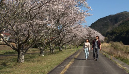 第51回 日本ケーブルテレビ大賞 番組アワード受賞作品特集