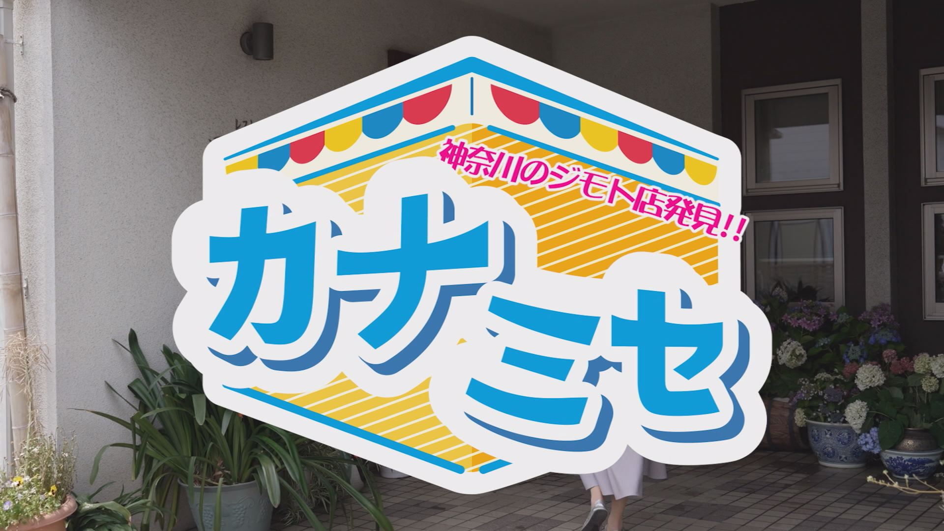 神奈川のジモト店発見!!「カナミセ」