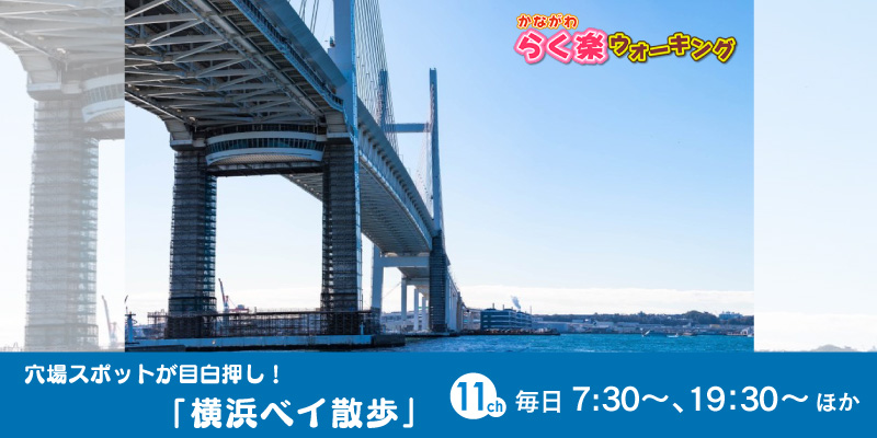 かながわ らく楽ウォーキング