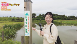 かながわ らく楽ウォーキング