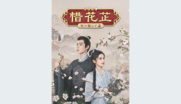 中国ドラマ『惜花芷～星が照らす道～』 #1