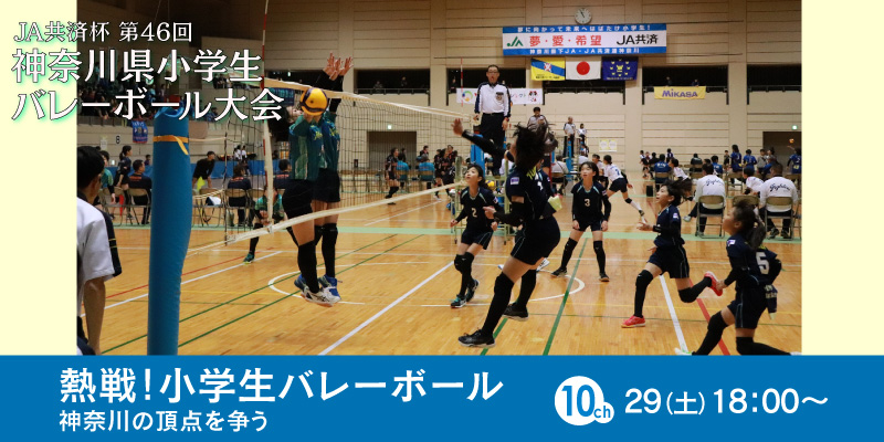 ＪＡ共済杯 第46回 神奈川県小学生バレーボール大会