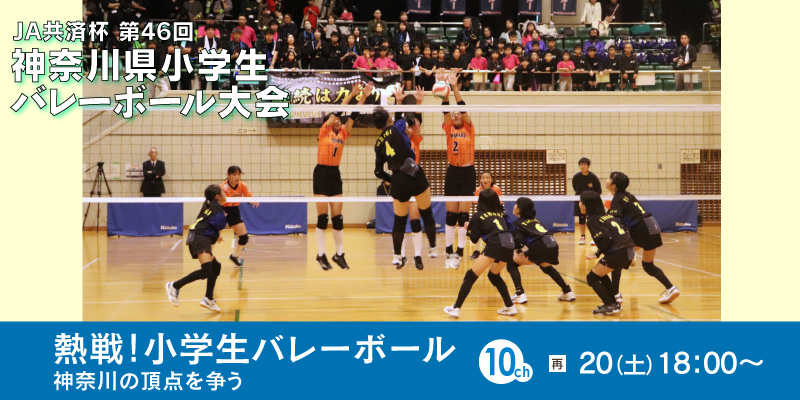 ＪＡ共済杯 第46回 神奈川県小学生バレーボール大会