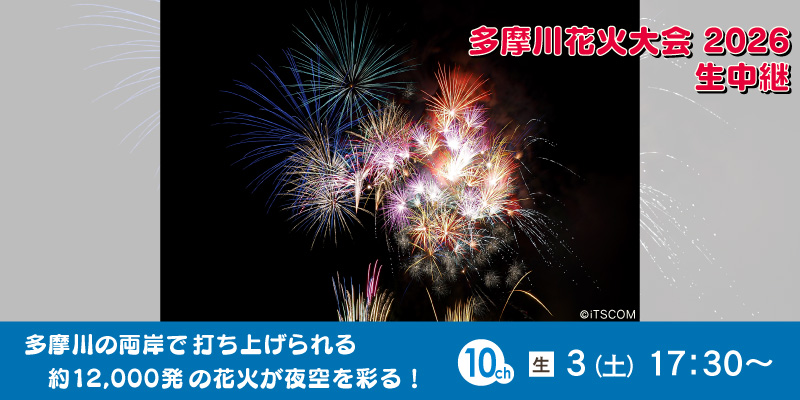 多摩川花火大会 2026 生中継