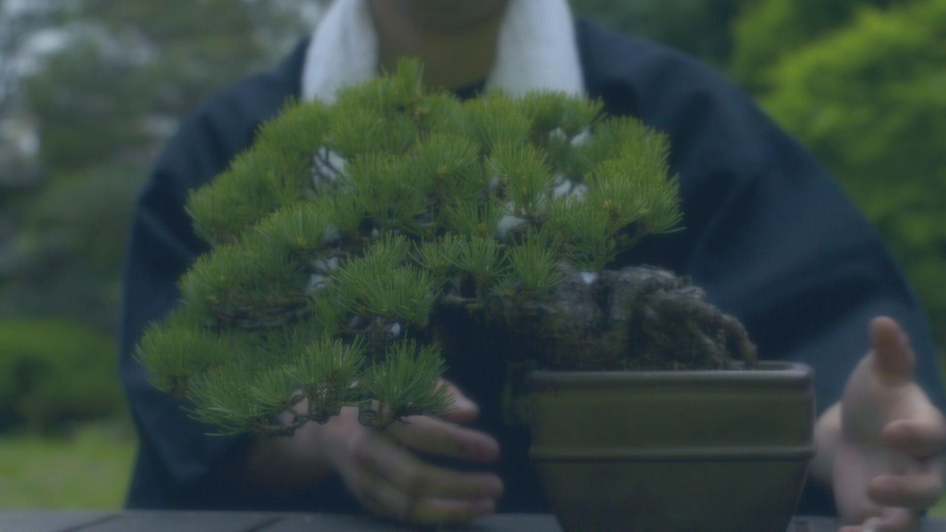 横浜ミストリー