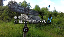桐原冬夜の生録大自然の旅