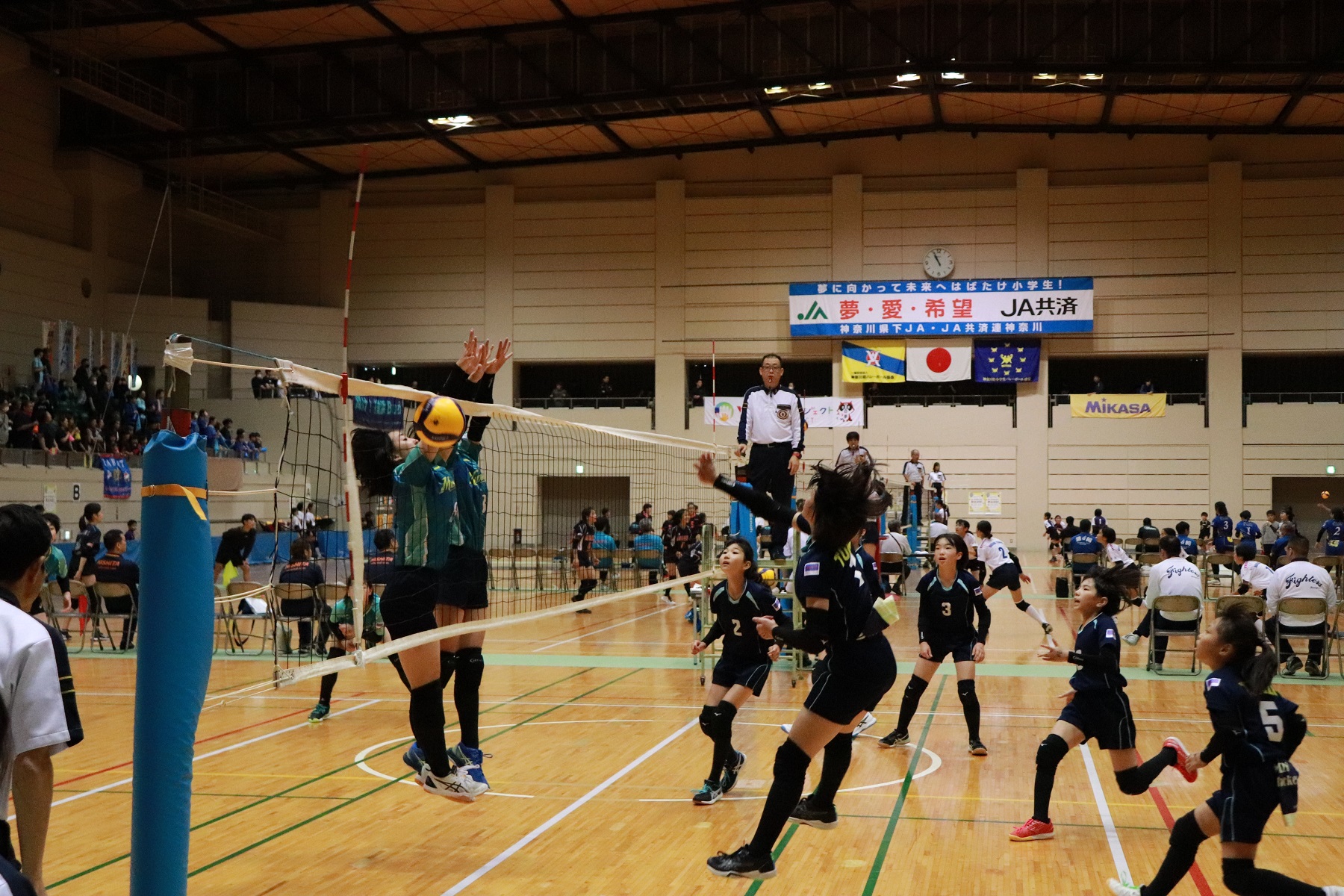 ＪＡ共済杯 第46回 神奈川県小学生バレーボール大会