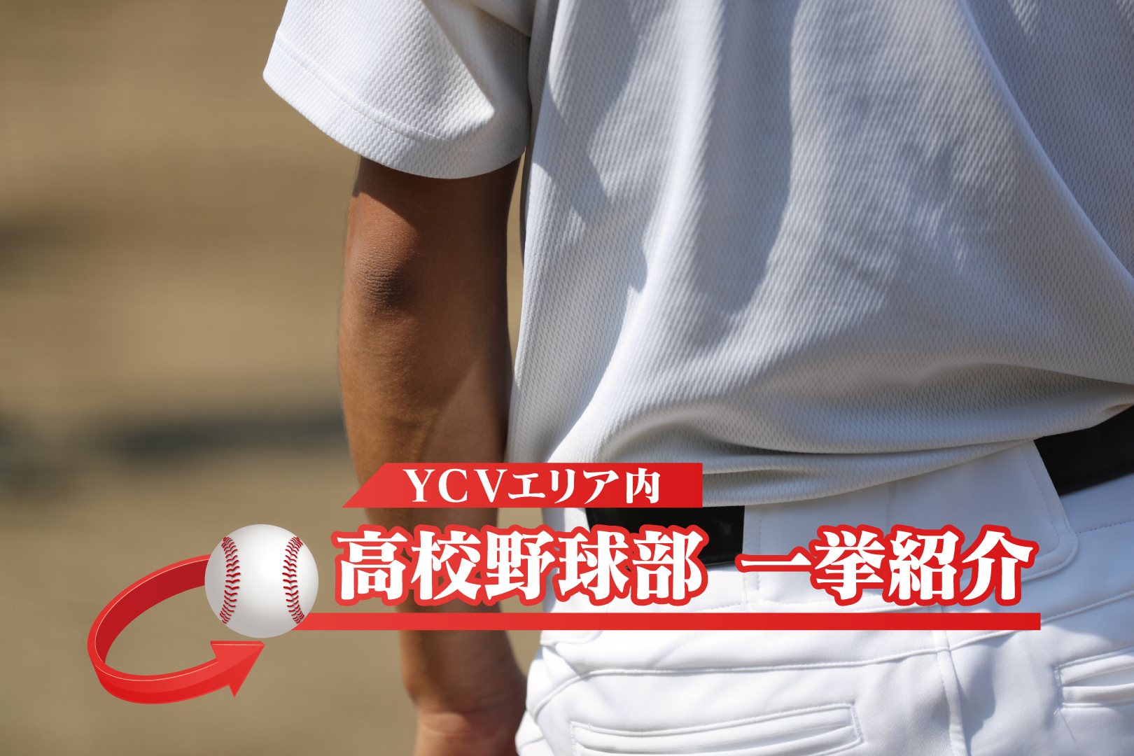 YCVエリア内 高校野球部 一挙紹介