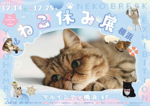 200万人が癒された”猫の祭典”を開催