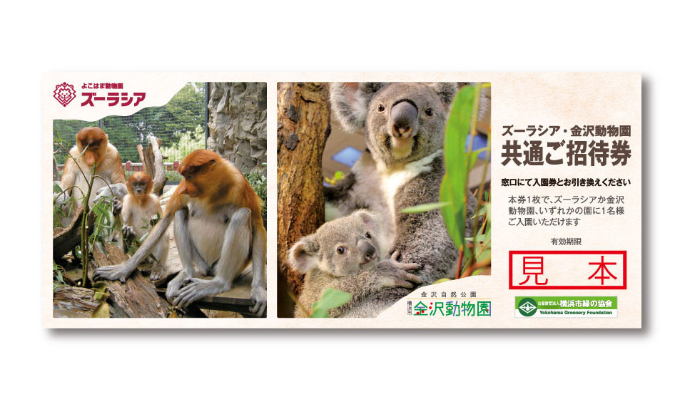 『ズーラシア・金沢動物園共通ご招待券』（8月）
