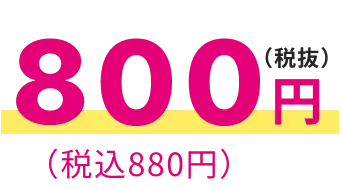 税抜800円(税込880円)