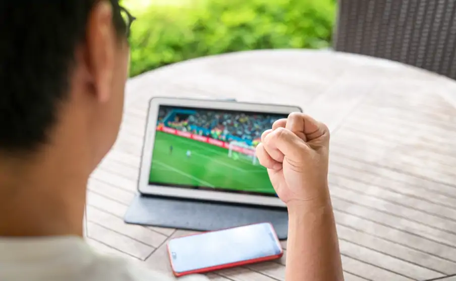 テレビの大画面からスマホまで楽しめる