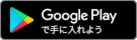 Google store